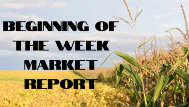 Beginning Of The Week Market Report 390x220