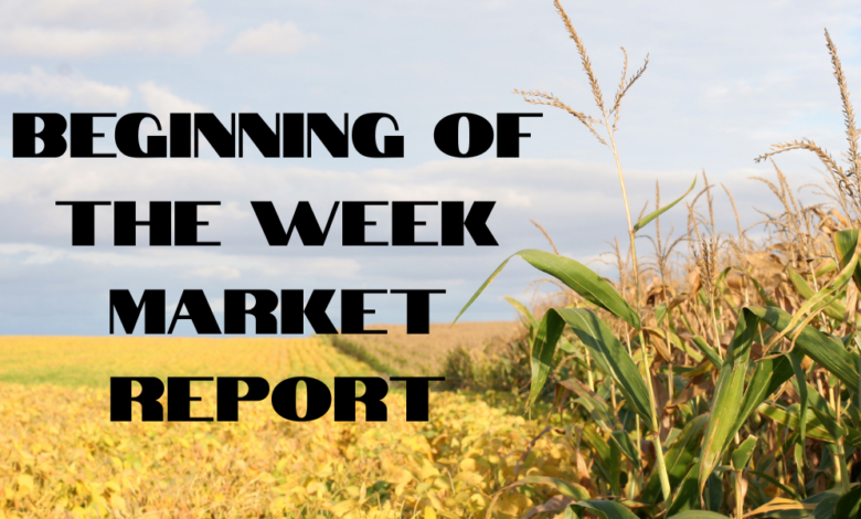 Beginning Of The Week Market Report 780x470