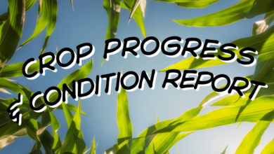 DROP 390x220