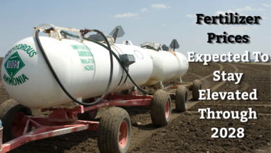 Fertilizer Prices Expected To Stay Elevated Through 2028 390x220
