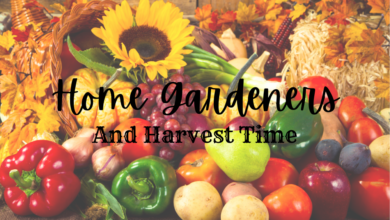 Home Gardeners 390x220