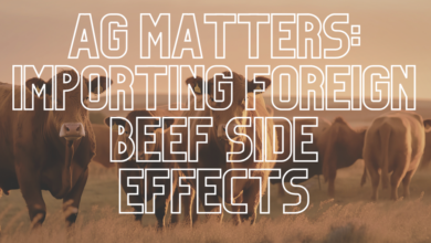 Importing Foreign Beef Side Effects 390x220