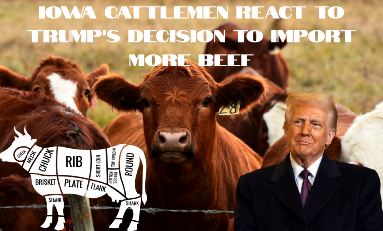 Iowa Cattlemen React To Trumps Decision To Import More Beef 780x470