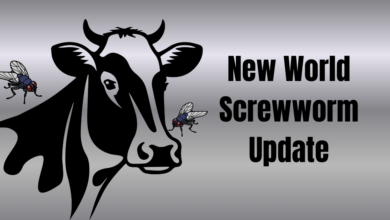 Screwworm 390x220
