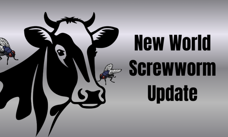 Screwworm 780x470