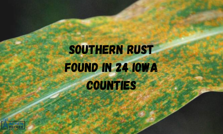 Southern Rust Found In 24 Iowa Counties 780x470
