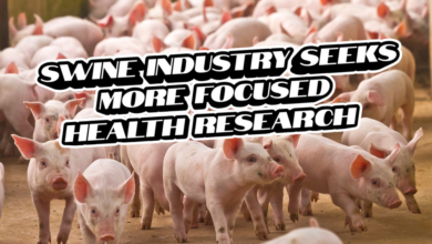 Swine Industry Seeks More Focused Health Research 390x220