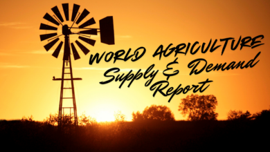 World Agricultture 1 390x220