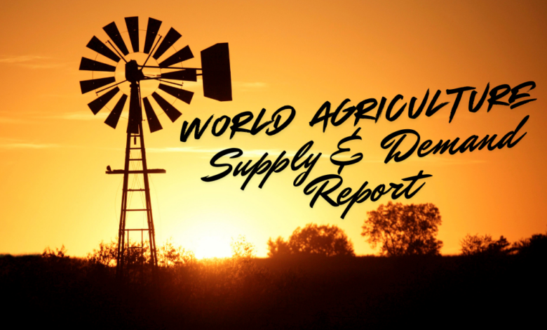 World Agricultture 1 780x470