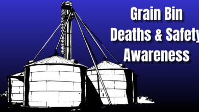 Grain Bin 390x220