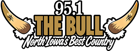 95.1 The Bull