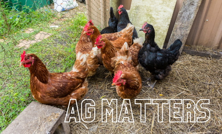 Ag Matters 4 780x470
