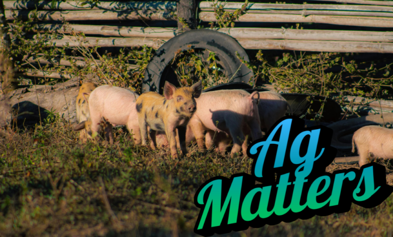 Generations Of Farming 3 780x470