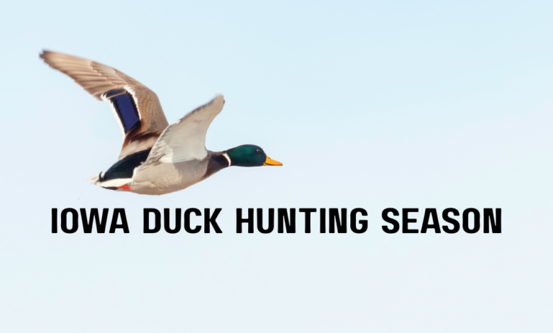 Iowa Duck Hunting Season 780x470