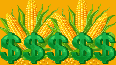 National Farm Safety Health Week 1 1 390x220