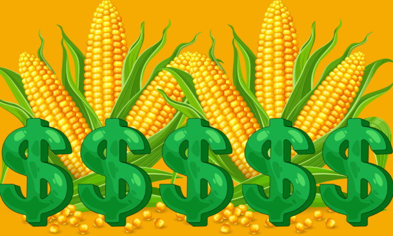 National Farm Safety Health Week 1 1 780x470