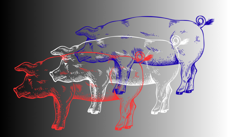 Untitled Design 1 8 780x470
