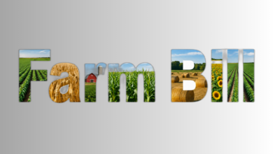 Untitled Design 9 390x220
