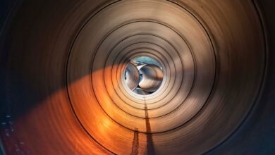 Shutterstock 2061890321 Scaled 390x220