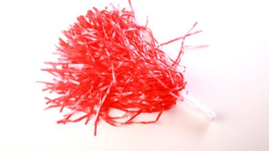 Shutterstock 2435289605 Scaled 390x220