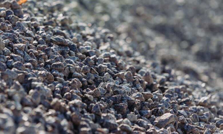Shutterstock 2671812231 Scaled 780x470