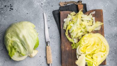 Shutterstock 2704077769 Scaled 390x220