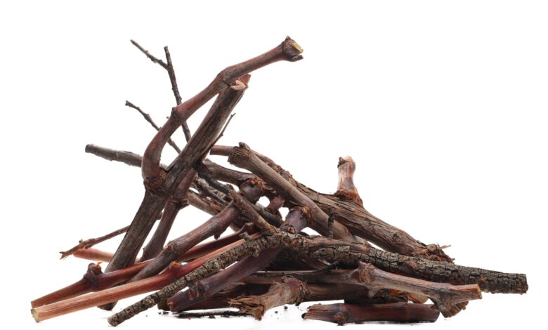 Shutterstock 2726492689 Scaled 780x470