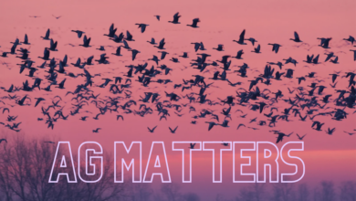 Ag Matters 4 390x220
