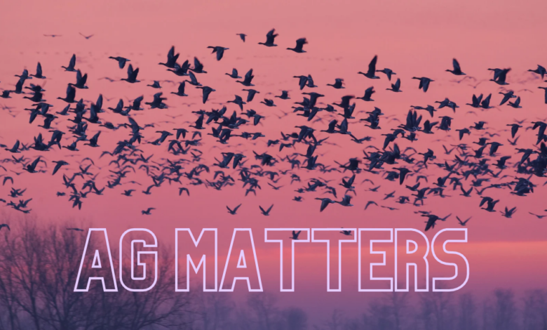 Ag Matters 4 780x470