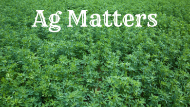 Ag Matters 5 390x220