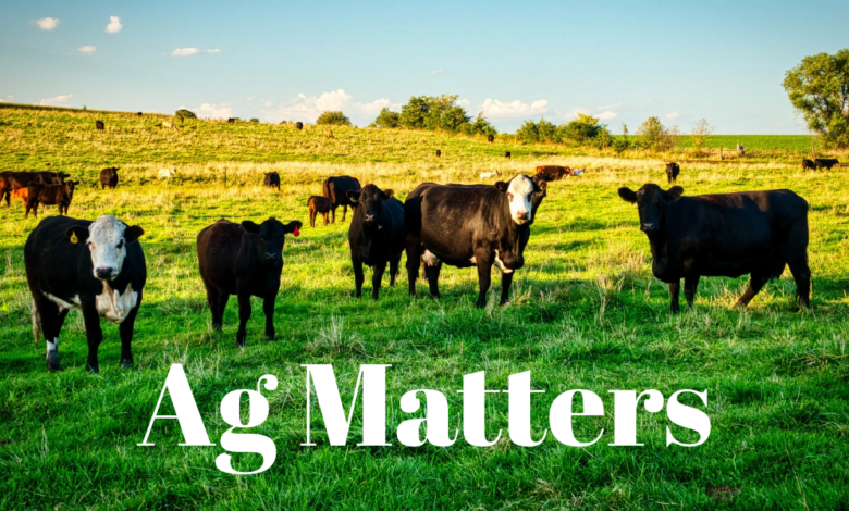 Ag Matters 7 780x470