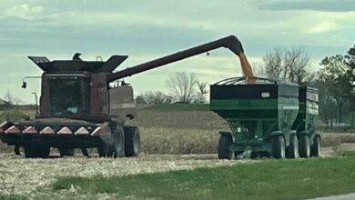 Harvest In Action 390x220