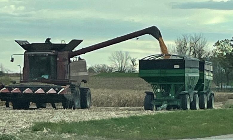 Harvest In Action 780x470