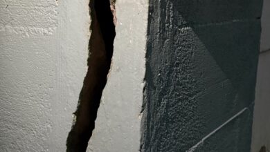 Wildwood Crack Scaled 390x220