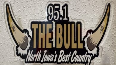 bull logo 102126 a