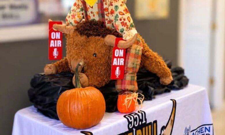 Bull Scarecrow 2026 780x470