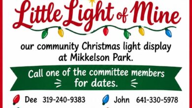 Little Light Of Mine Volunteers 2026 390x220