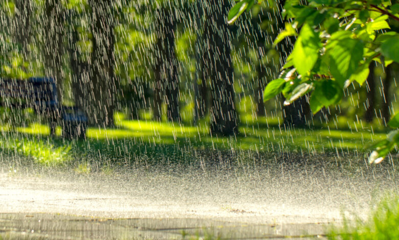 Shutterstock 1154188174 Scaled 780x470