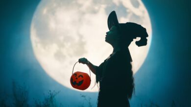 Shutterstock 2681656527 Scaled 390x220