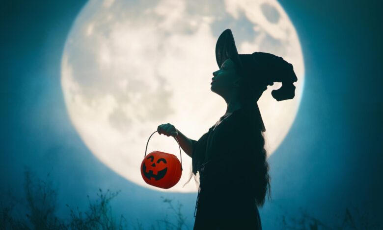 Shutterstock 2681656527 Scaled 780x470
